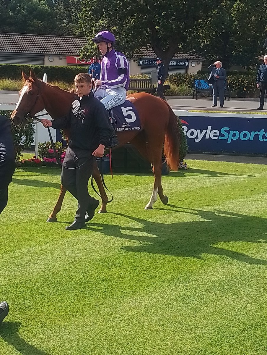 JoeSeward1's tweet photo. EXACTLY is another Frankel 2Y0 filly winner this season for @Ballydoyle
Wins at 
@LeopardstownRC 
@wjlee24786 with a canny run up the rail to deny the newcomer CHANTEZ who is one to follow. A first win for 
Ballydoyle for Billy Lee 
#Leopardstown 
#BulmersLive
@PaulSmith0094 https://t.co/7fJzC2Romn