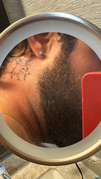 meet my new fox frien https://t.co/vJEV8g8maI