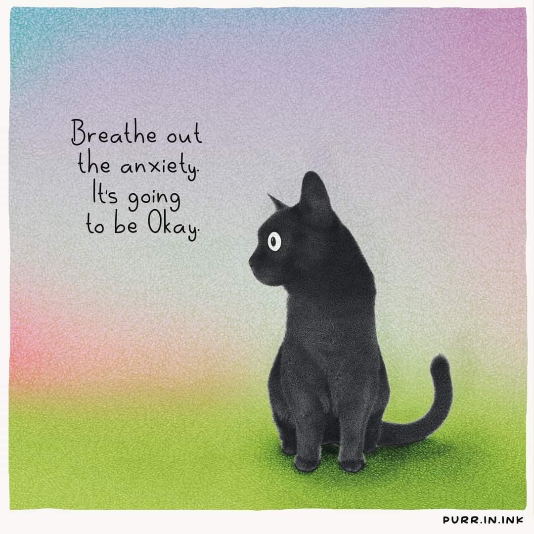 purr.in.ink tweet media