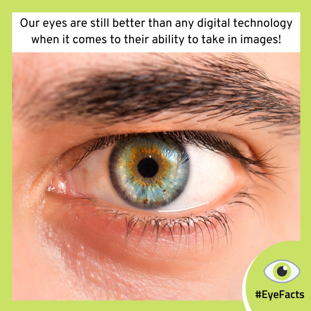OpticiansDenham's tweet photo. 👁️✨ Despite all the advancements in digital technology, our eyes remain the ultimate high-definition marvels! With their ability to instantly adjust to light, perceive depth, and detect millions of colours, they outperform even the best cameras and screens 🌈📸 #HumanEye https://t.co/2Qio4D1VKi