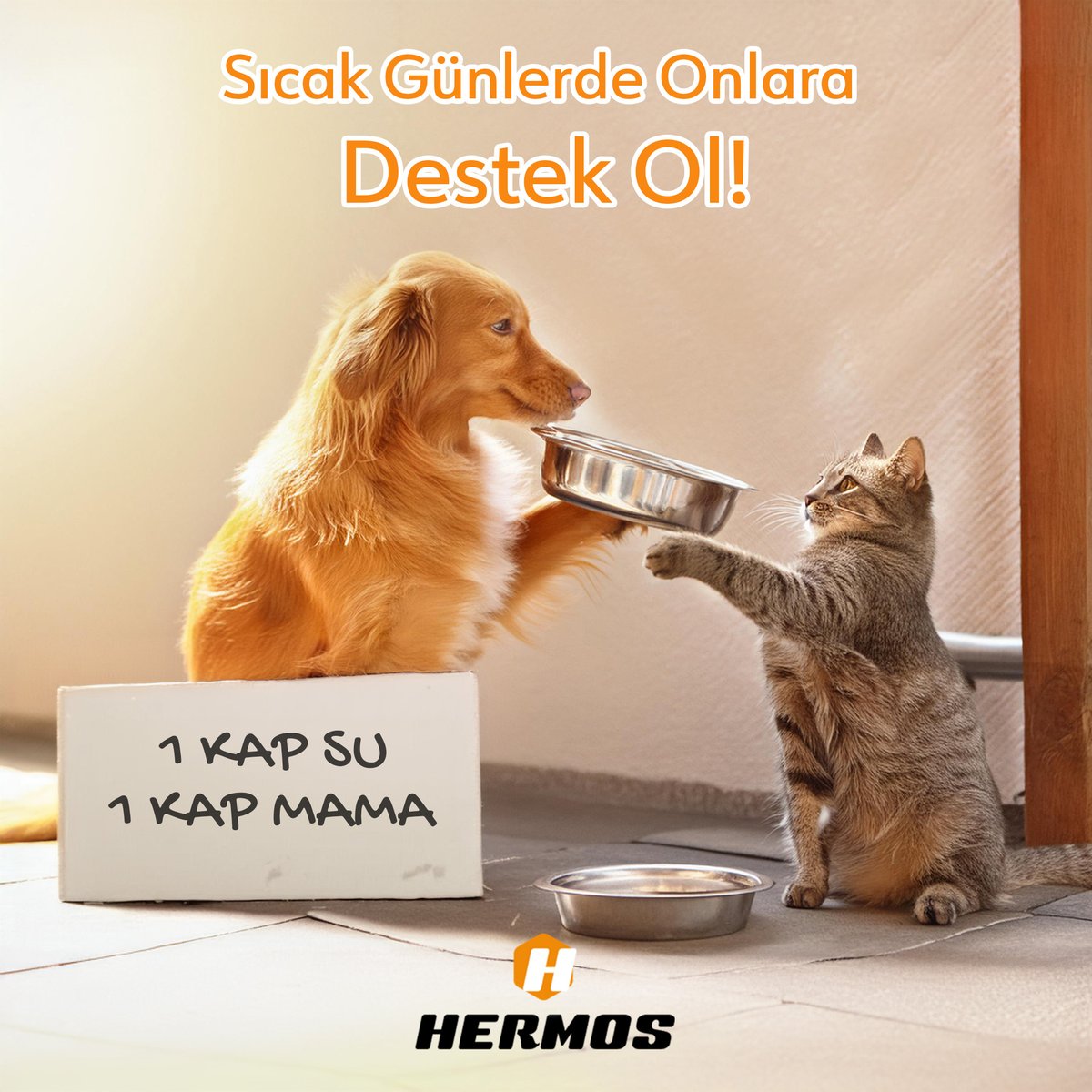 Sıcak havalara az kaldı ve sevimli dostlarımızın serin kalması her zamankinden daha önemli.
💦
Bir kap su ve besleyici mama ile onların sağlığını ve mutluluğunu koruyabiliriz.
🌞
Hermos ailesi olarak, sizden sadece küçük bir ricamız var: “1 Mama, 1 Kap Su.”

#sokakhayvanları