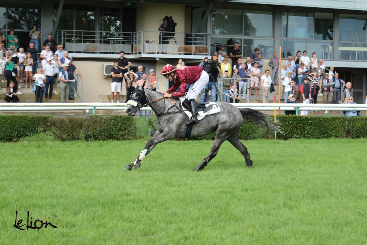 coursesdulion's tweet photo. @AugustinMadamet Course 4️⃣ - PRIX HENRI DE BARMON - (Cross-country)

🥇 GOLDEN DAWN

Propriétaire : L. Glemin / Écurie JAB / L. Josse
Jockey : C. Lefebvre
Entraîneur : @GregoireLeende1 
Éleveurs : Mme H. Devin https://t.co/MQjq5kPgfi