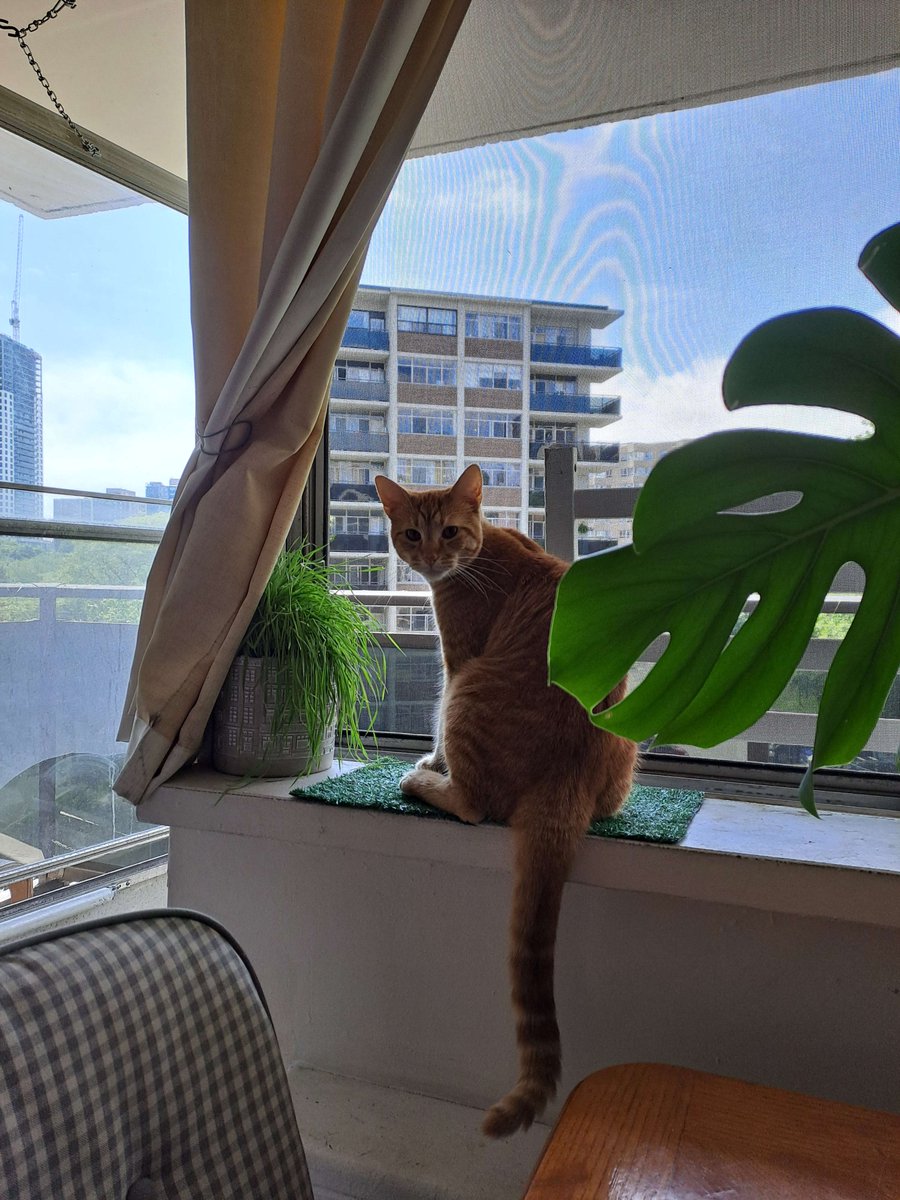 I have nothing to post, have ✨SON✨