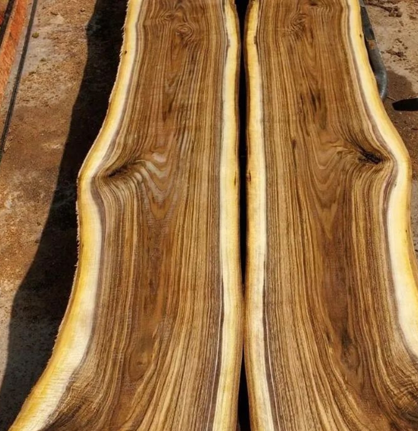 Maria49334347's tweet photo. Our North Cal Wood Products get nicest Claro Walnut and Bastogne Walnut Dry Slabs to offer,get my name "Maria" i will get you some discount .Don't hesitate to call us today !  #northcalwoodproducts#ukicahcalifornia#sawmill#slabs#carlowalnut#Bastognewalnut https://t.co/FTIrNiGazD