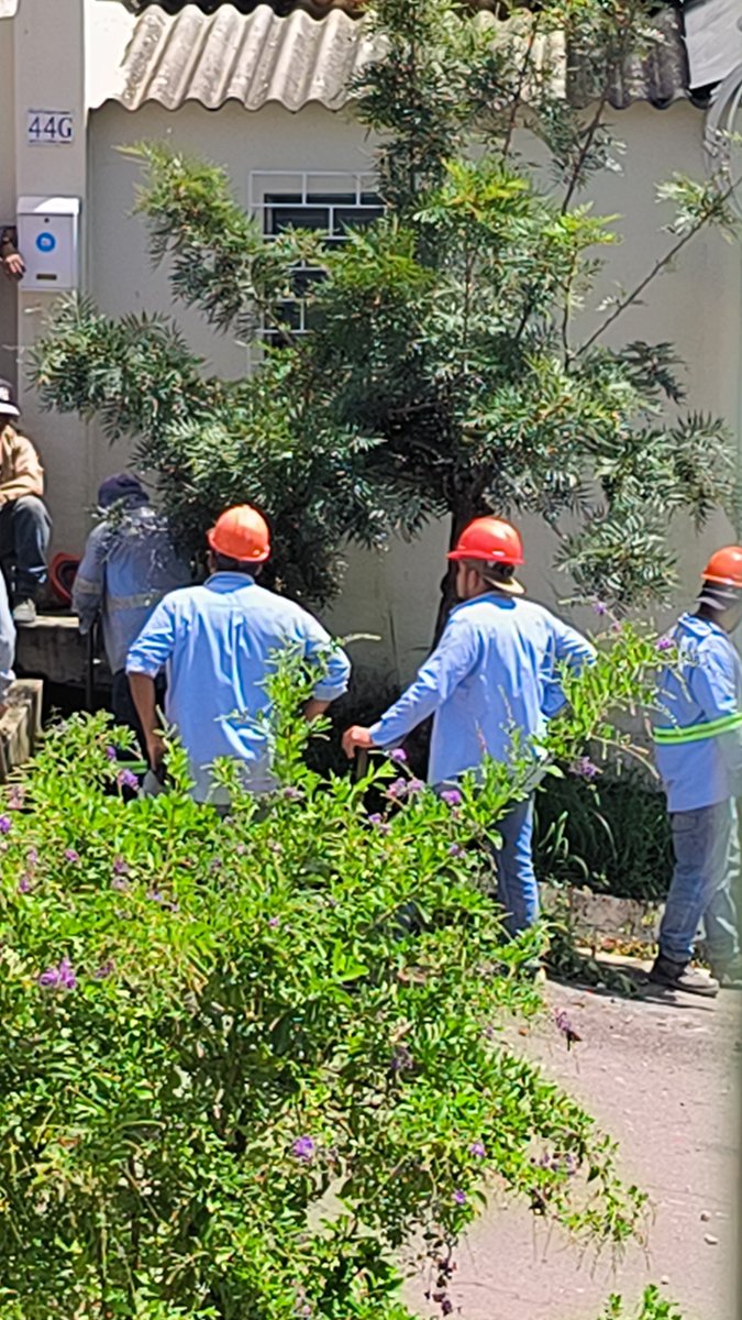 iecabezas's tweet photo. @ANDASV @RuAleman ACTUALIZACION, anoche vino una inspección a evaluar y ahora todo el equipo obrero está ya trabajando en la fuga. Muchas gracias por su pronta respuesta! https://t.co/uhz7Xh0flH