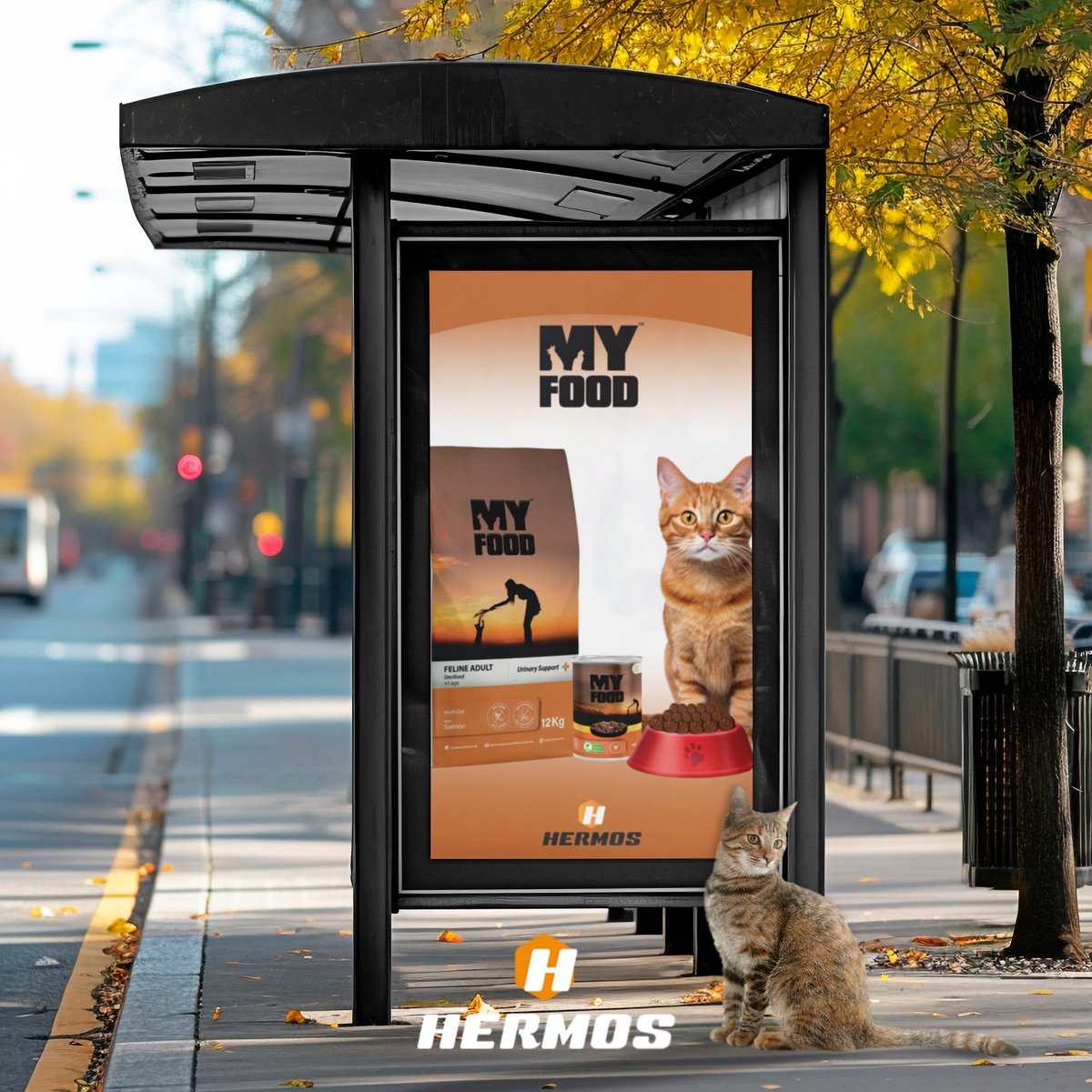 Tüylü dostlarımız için lezzetin kokusu her yerde…
🐾🧡

#hermospet #myfoodpet #kedimaması #köpekmaması #petfood #catfood #dogfood #kurumama #yaşmama