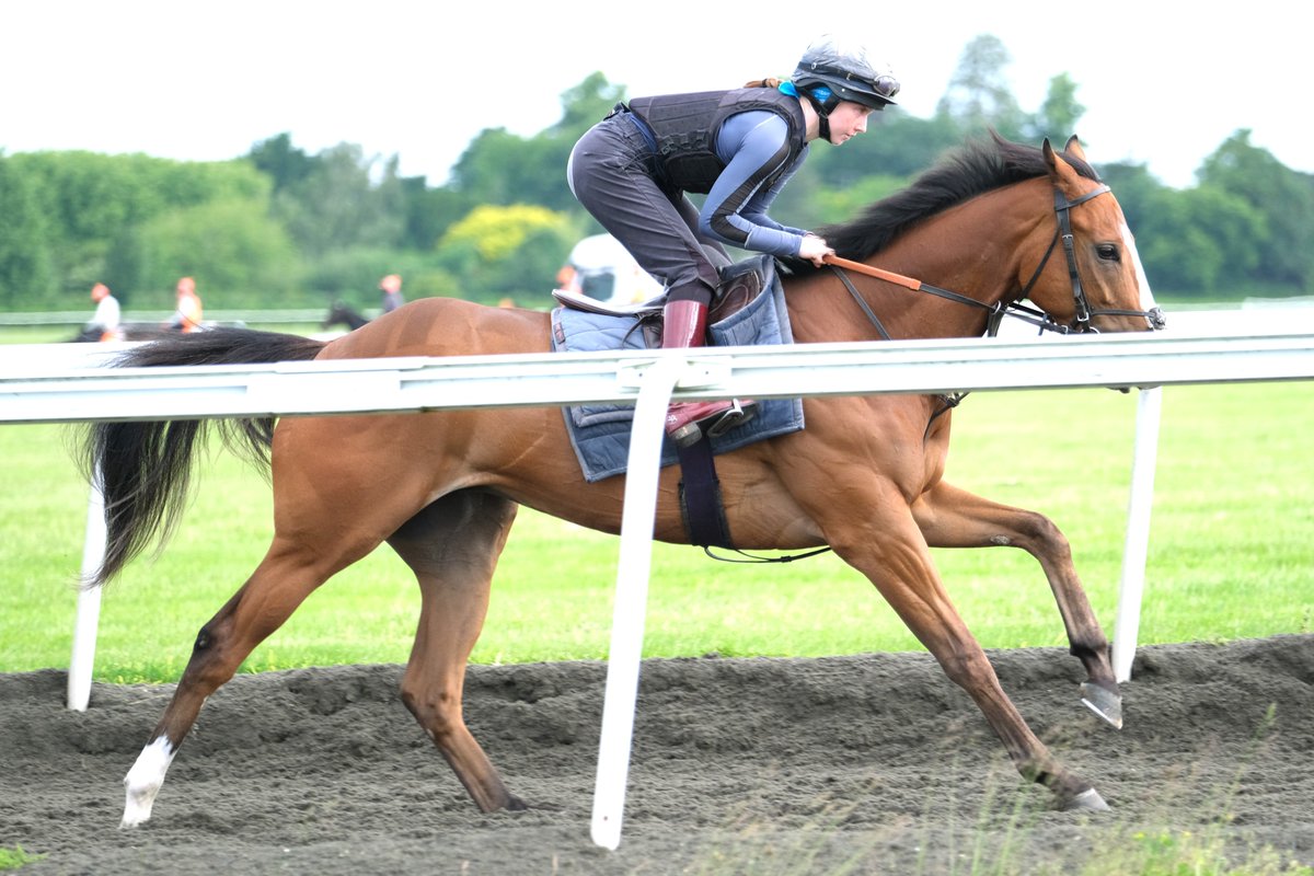 ESCAPE ACT 🌟WINS🌟 (3yo g Mehmas IRE - Off Stage IRE) the 1m Handicap <a href="/DoncasterRaces/">Doncaster Racecourse</a> under <a href="/ConnorPlanas/">Connor Planas</a> for NEVER SAY DIE PARTNERSHIP &amp; <a href="/SimcockRacing/">David Simcock Racing</a>