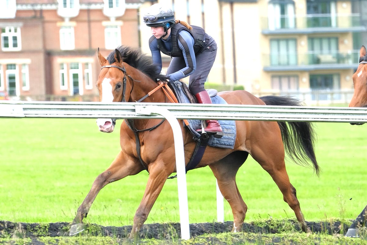 David Simcock Racing tweet media