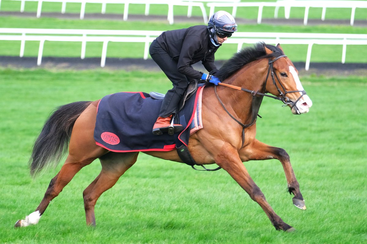 David Simcock Racing tweet media