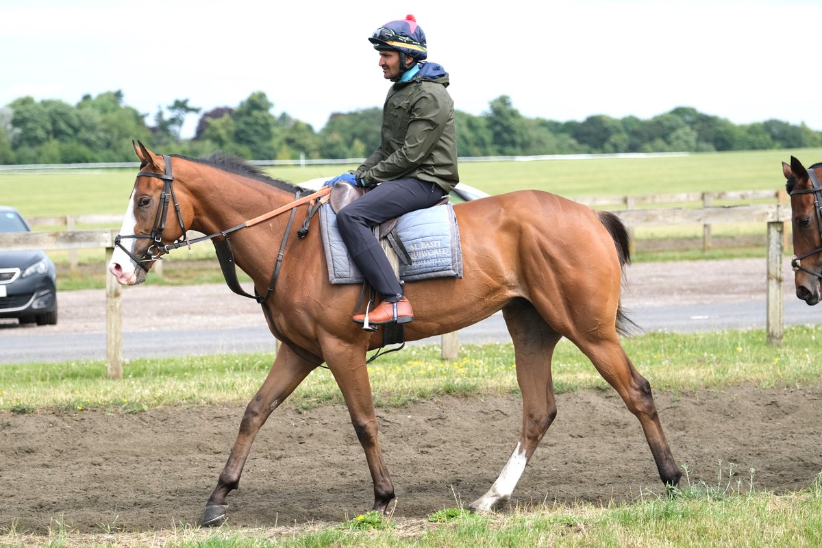 David Simcock Racing tweet media