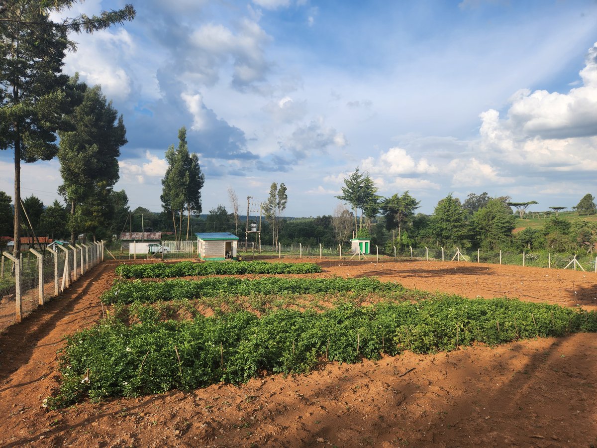 Eric Magembe tweet media