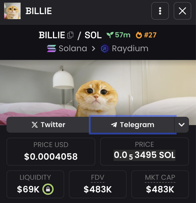 BILLIE tweet media