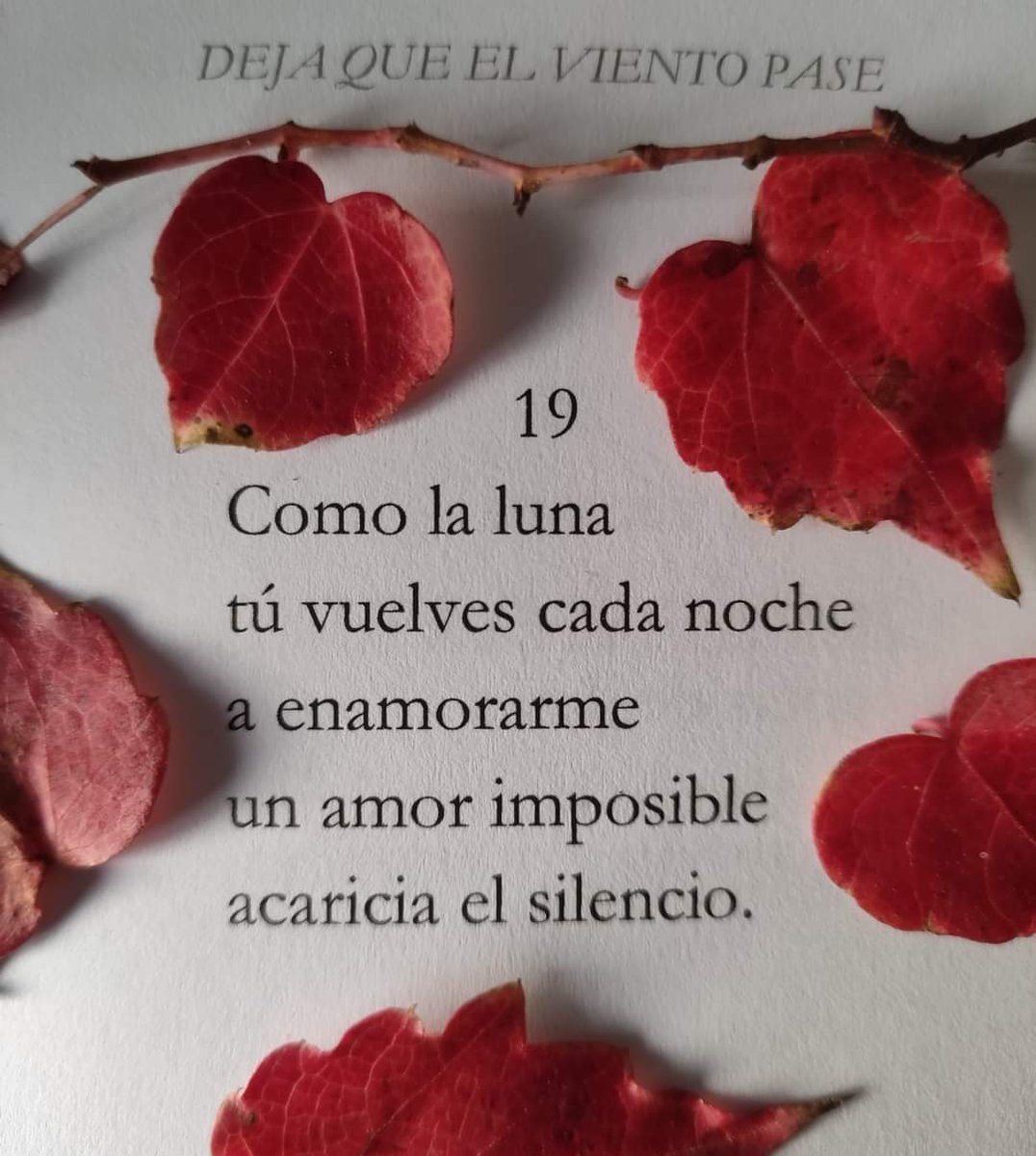 MRosamar64's tweet photo. Deja que el viento pase, escrito a dos voces junto a Pedro Villar Sánchez. Disponible en Amazon. Emociones, sentimientos... todo lo que los diferentes estados del viento son capaces de despertar.
#tanka  #pesiabreve #poesia #escrituraterapuetica https://t.co/PvTRCwKG1v