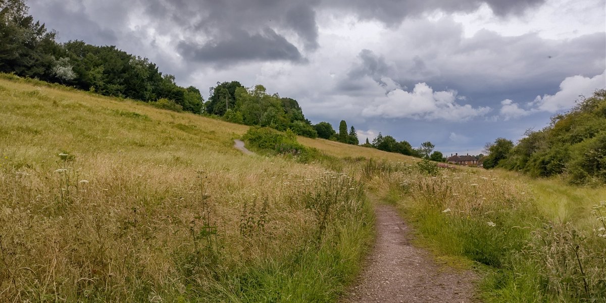 HeritageClsdn's tweet photo. A post on Bridleway 741 for #FingerpostFriday - an easy route up and down the steep slope between #FarthingDowns and #HappyValley with amazing views https://t.co/DukzhLZhPG