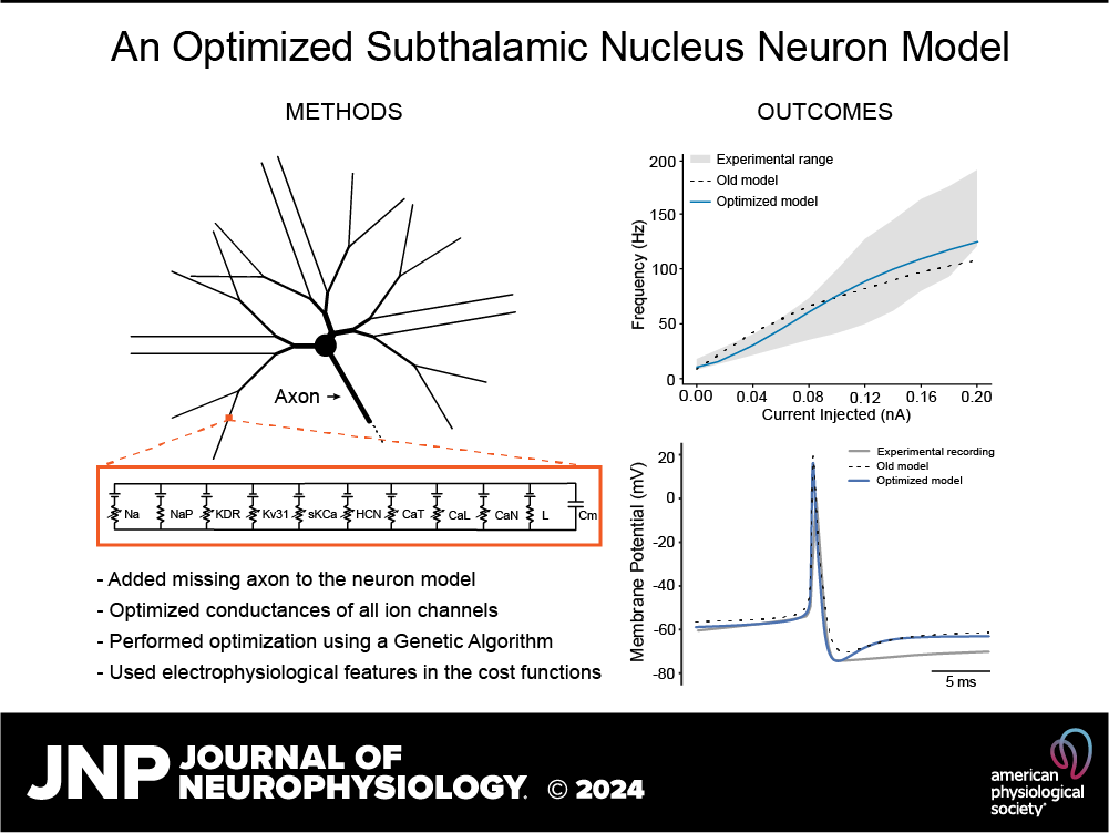 The McIntyre Lab tweet media