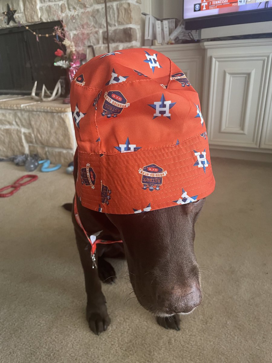 Don’t ask me why, but it is my opinion I am ready for Adam Sandler Night. I am stylin’! THRILLED with the <a href="/BurlingtonBees/">Burlington Bees</a> WIN &amp; expect MORE. Let’s Go <a href="/emilymadelyn_/">emily dear</a> <a href="/rachf03/">Rachel Fischer</a> <a href="/oliviaraustin/">Olivia Austin</a> <a href="/sample_mail/">Liam Sample PxP</a> <a href="/Samuel_Egan21/">Samuel Egan</a> !! Have fun! Go Bees! 💙🐝⚾️