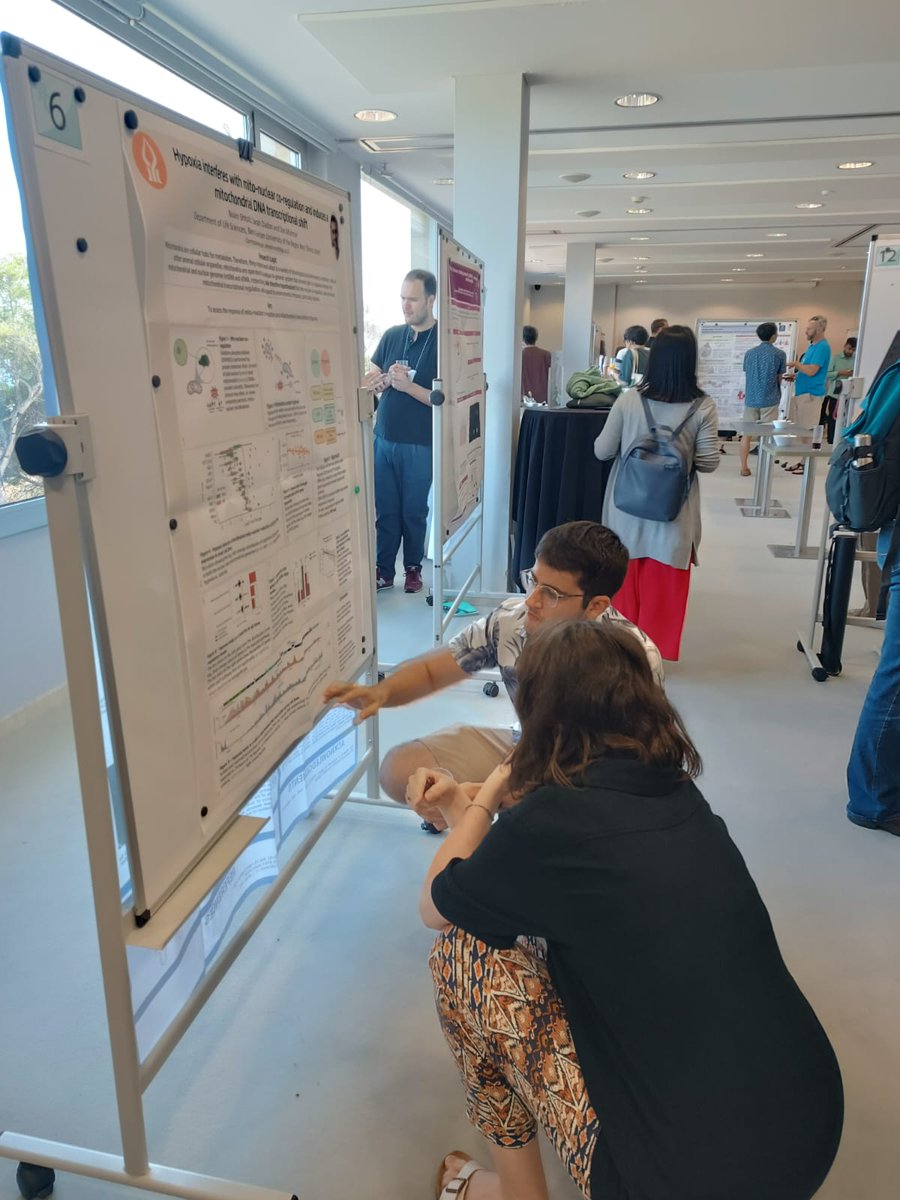 Danmishmar's tweet image. Proud of Noam Shtolz and Gavriel Minor- graduate students in our lab at. @LsBgu as they present their work while at the GRC Mitochondria and chloroplast meeting, Barcelona
