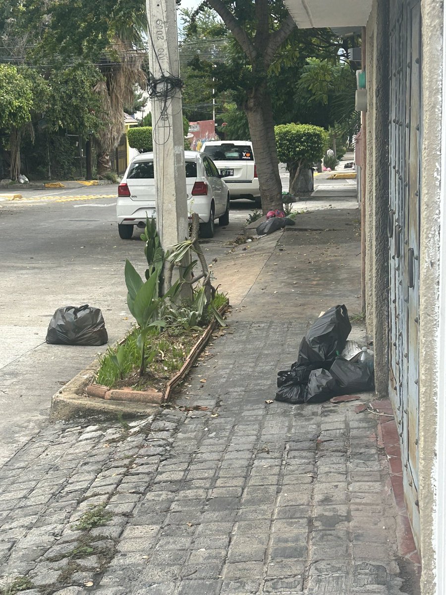 Juliadelapaz's tweet photo. @GuadalajaraGob @EnriqueAlfaroR @PabloLemusN 
Una semana sin pasar la basura en la colonia Jardines del country. Alguien que pueda decirnos cuándo pasará? https://t.co/RNunukLDaD