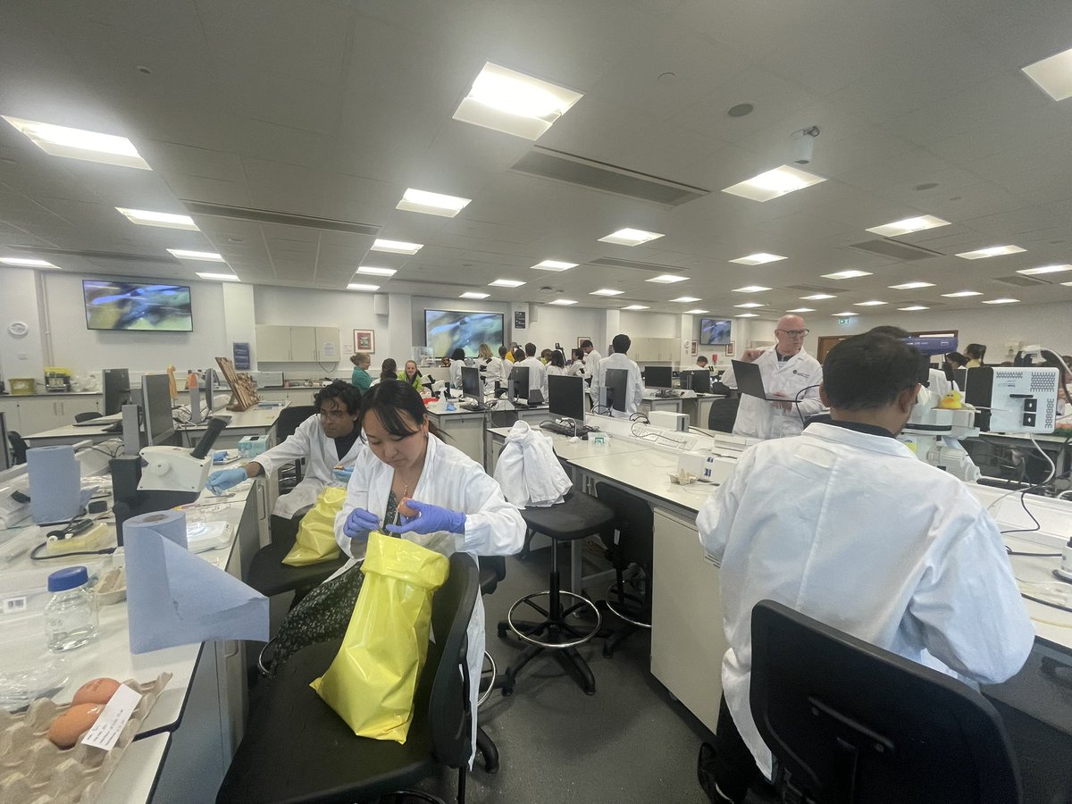 Ruth Williams tweet media