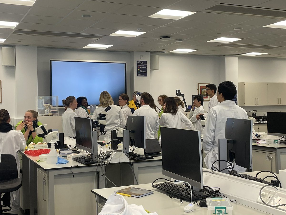 Ruth Williams tweet media