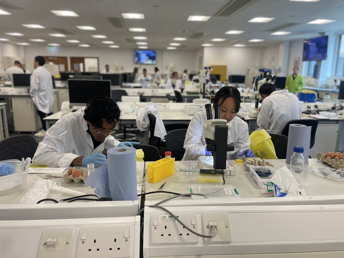 Ruth Williams tweet media