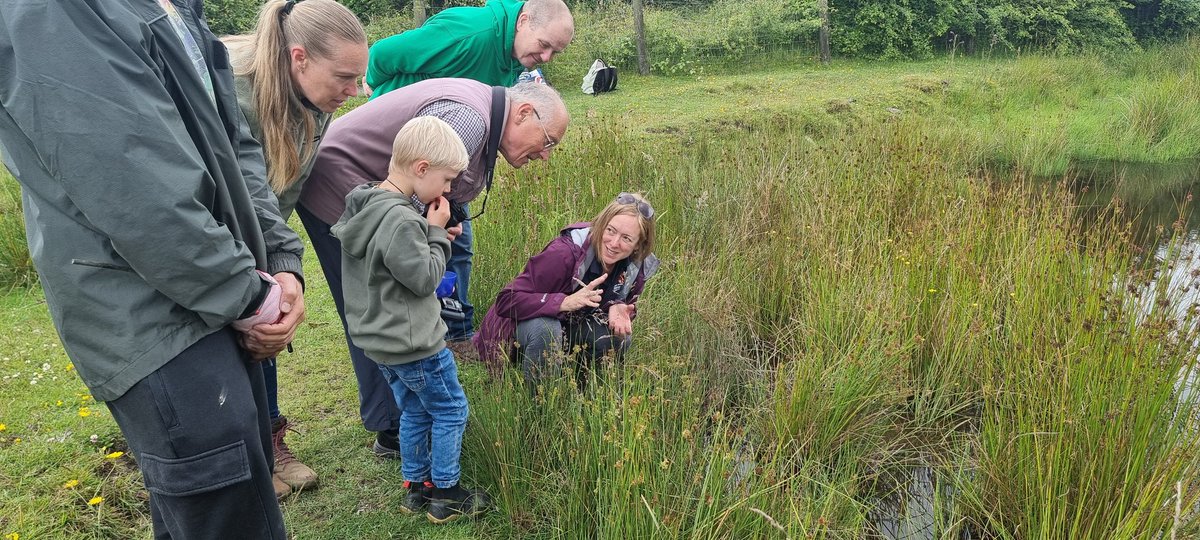 Sheryl Beck (Edwards) 🏴󠁧󠁢󠁷󠁬󠁳󠁿 tweet media