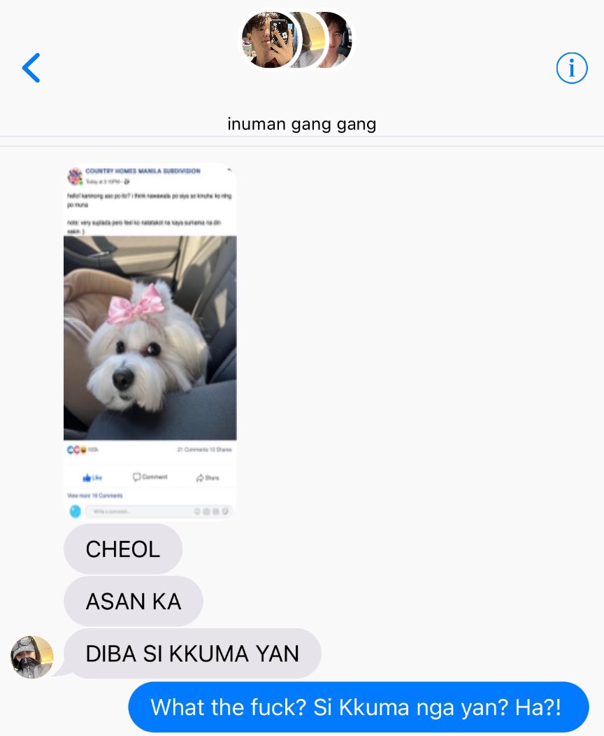 ayecheol's tweet photo. pink ribbon 
a jeongcheol au.

nakatakas si kkuma and nakita siya sa isang fb group https://t.co/OWrQ2y6CRx