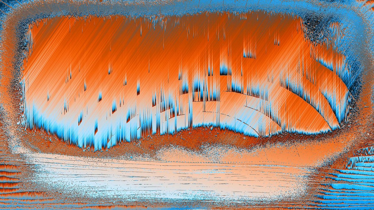 orlainberlin's tweet photo. Orange Haze, a part of 'The Frame' performance and exhibition @HOXID_ @tesserart_xyz https://t.co/N5zEsdGYLc