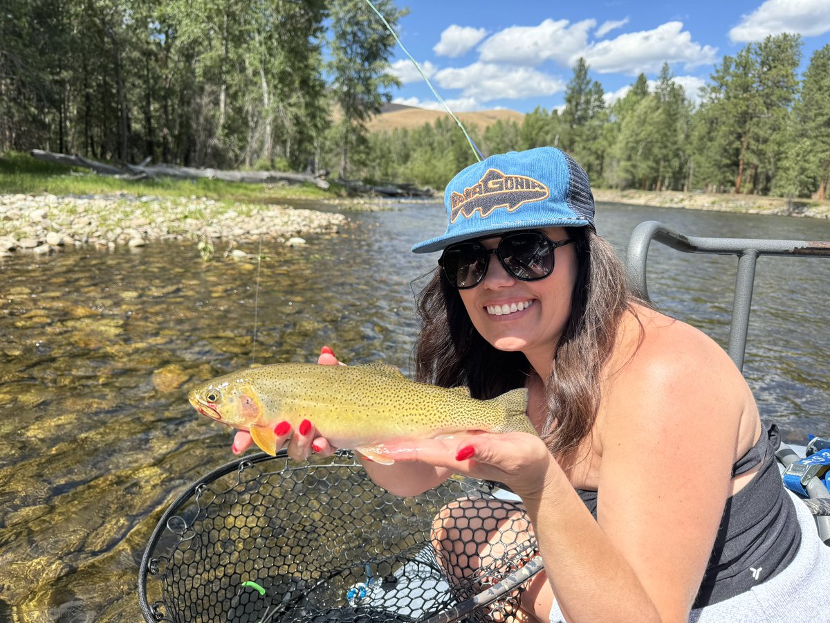 Tony Biesiot tweet media