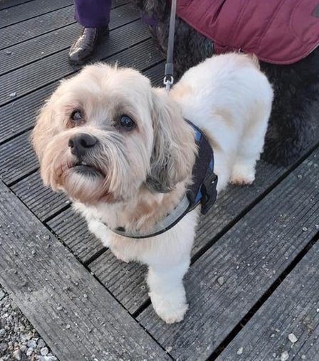 Oldies Club tweet media