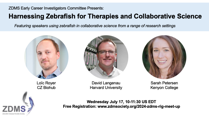 Wade Sugden (@sugden_wade) on Twitter photo Looking to capitalize on collaborative possibilities with the #zebrafish model? Join our #zdmsECI webinar next Wed 10-11:30 EDT to benefit from the expertise of <a href="/ZDMSociety/">ZDMSociety</a> members Drs. Royer, Langenau and Petersen! Registration is free for all zdmsociety.org/2024-zdms-rig-โฆ Looking to capitalize on collaborative possibilities with the #zebrafish model? Join our #zdmsECI webinar next Wed 10-11:30 EDT to benefit from the expertise of <a href="/ZDMSociety/">ZDMSociety</a> members Drs. Royer, Langenau and Petersen! Registration is free for all zdmsociety.org/2024-zdms-rig-โฆ