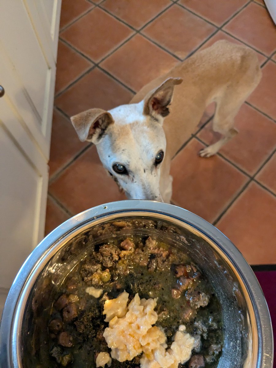 Maple, Ted's sister tweet media