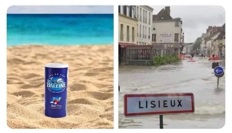 Je ne peux pas écouter cette chanson sans repenser à ça… désolé 😅 #noplp