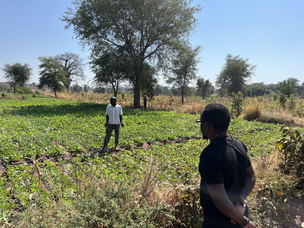 Andy Dougill (@andydougill) on Twitter photo Evaluating irrigation schemes in #Malawi via our <a href="/fosta_health/">FoSTA Health project</a> project & urging climate-smart investments via <a href="/NPCMalawi/">National Planning Commission (Malawi)</a> for a more productive & nutritious future - fosta-health.eu/index.php/blog… w/ <a href="/Manuel_Ricco/">Emmanuel Likoya</a> <a href="/mustmalawi/">MUST</a> <a href="/YorkEnvironment/">Department of Environment and Geography</a> @GlobalFoodLeeds Evaluating irrigation schemes in #Malawi via our <a href="/fosta_health/">FoSTA Health project</a> project & urging climate-smart investments via <a href="/NPCMalawi/">National Planning Commission (Malawi)</a> for a more productive & nutritious future - fosta-health.eu/index.php/blog… w/ <a href="/Manuel_Ricco/">Emmanuel Likoya</a> <a href="/mustmalawi/">MUST</a> <a href="/YorkEnvironment/">Department of Environment and Geography</a> @GlobalFoodLeeds