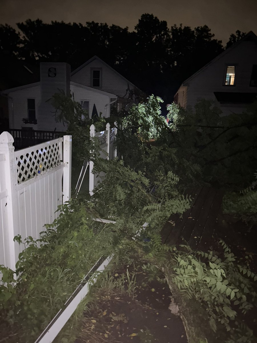 D_dwagz's tweet photo. @ErieCountyDPW since none of you like to answer the phone this is my last resort, send someone out here to get your tree out of my yard. https://t.co/GxGjgLeA4D