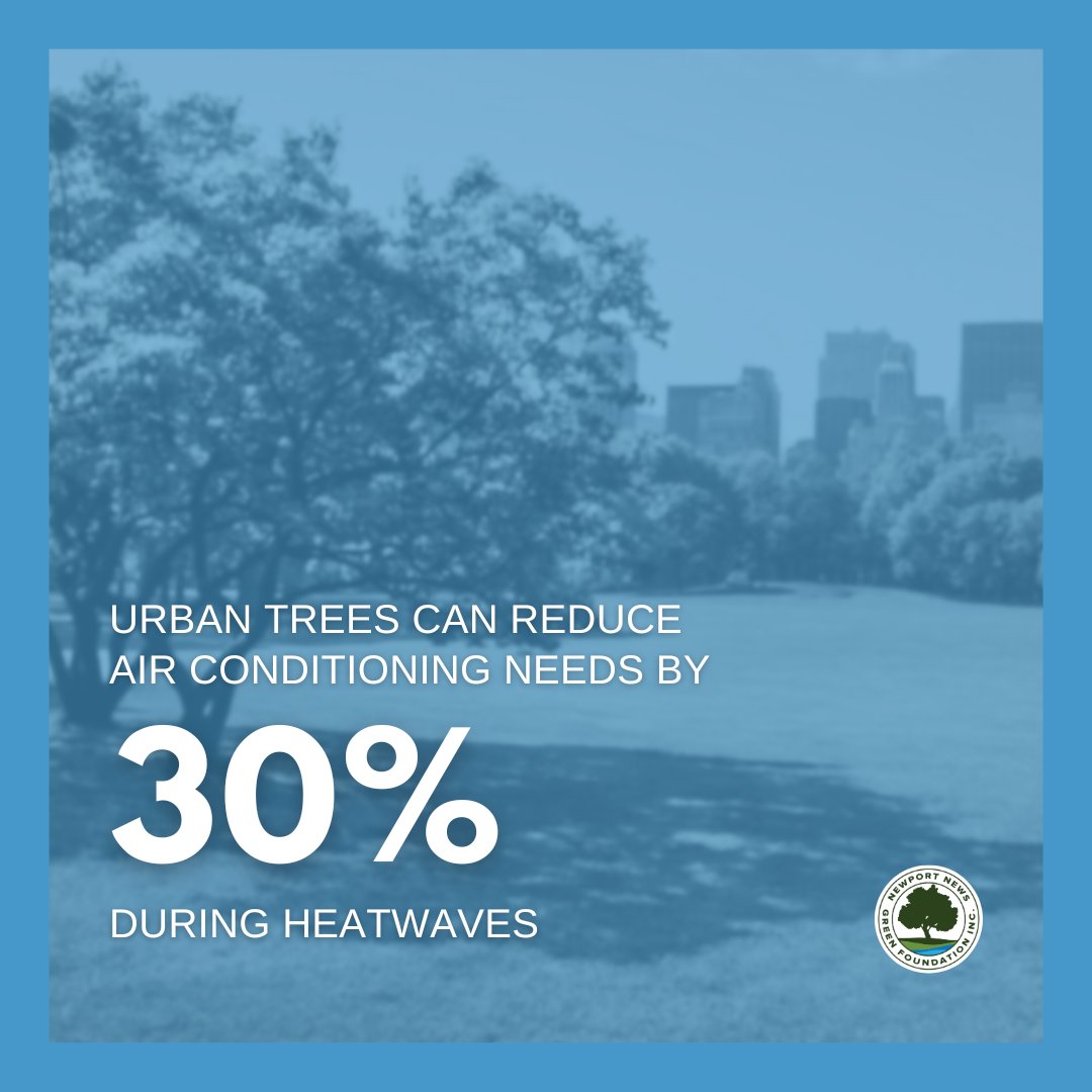 nngf's tweet photo. #FunFact: Urban trees can reduce air conditioning needs by 30% when strategically placed around buildings. 🌳🏙️

Trees help to keep us cool and save us money during summer heatwaves! 😎

Learn more about our efforts to preserve #GreenSpaces @CityofNN 👉 https://t.co/lGEXavNNZ4. https://t.co/CPNBNfgytO