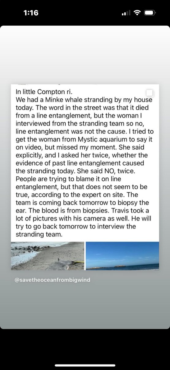 TheStonesEG's tweet photo. Dead Minke Whale. Little Compton, RI. Nothing to see here, Keep ignoring it. @TedNesi @IanDon @wpri12 @NBC10 @wpro https://t.co/MWRbYvRxrn