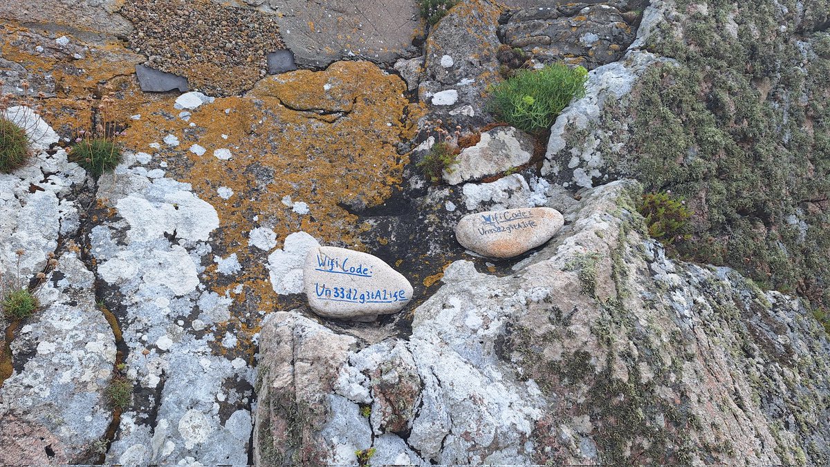 Kim Mott tweet media