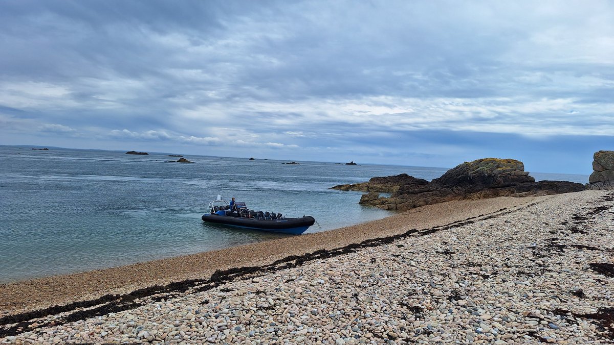 Kim Mott tweet media