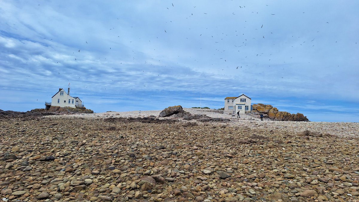 Kim Mott tweet media