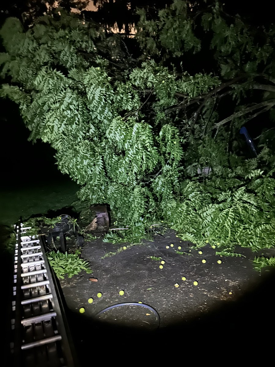 D_dwagz's tweet photo. Hey @markpoloncarz can you send someone from the county out to come and get there fallen tree out of my yard? Iv called at least 40 numbers with no help, me neighbors fence and all my toddlers outdoor and patio stuff is destroyed. https://t.co/wuQlWqUeei