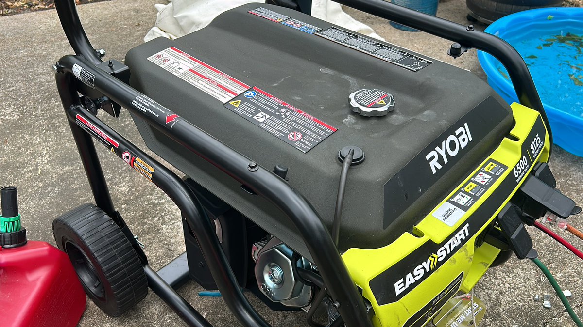 Patricia Perez tweet media