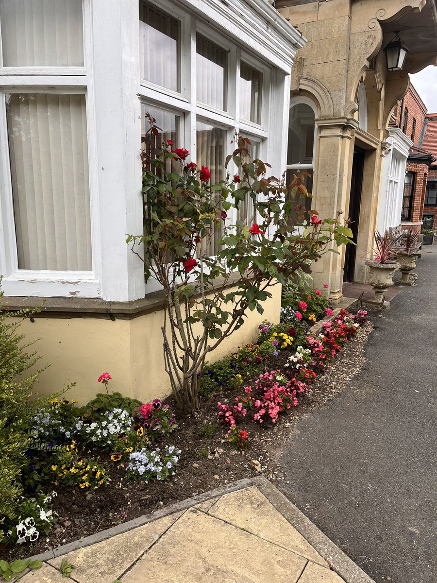 DH_Maintenance's tweet image. A #dry day #again #thankfully - having missed last week these #beds were full #weeds so it was #weeding this morning 👍