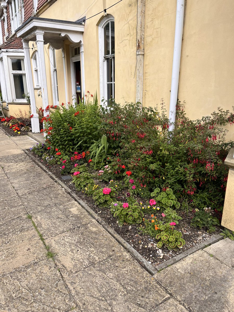 DH_Maintenance's tweet image. A #dry day #again #thankfully - having missed last week these #beds were full #weeds so it was #weeding this morning 👍