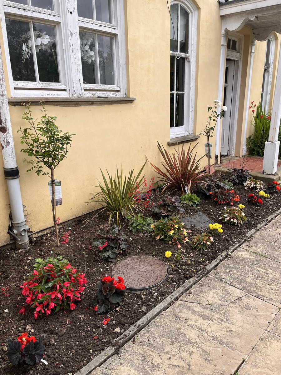 DH_Maintenance's tweet image. A #dry day #again #thankfully - having missed last week these #beds were full #weeds so it was #weeding this morning 👍