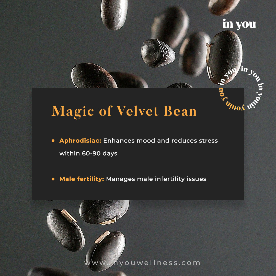 InYouWellness's tweet image. Reignite passion &amp;amp; conquer stress for unforgettable intimacy! Velvet Bean tackles male infertility concerns naturally. #inyou helps unlock a holistic approach to both!

#velvetbean #intimacyboost #naturalwellness #moodenhancer #stressrelief #malefertility #holistichealth