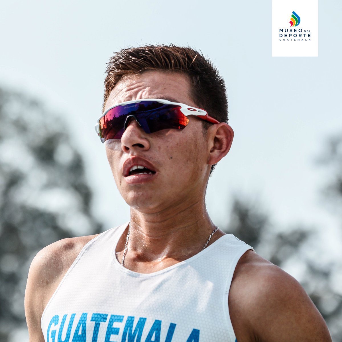 Conoce la increíble historia que inspira de José Barrondo 🏅... 

 🖥️ conoce más en nuestra web: museodeldeporte.org.gt/jose-barrondo/  

#MuseodelDeporte #HistoriasQueInspiran #Guatemalaescribelahistoriaenparis #juegosolimpicos #parís2024 #GuatemalaEnParís2024