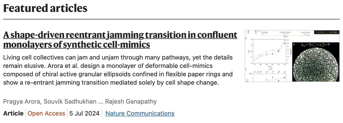 Very happy to see our recent paper being selected as a featured article:

nature.com/collections/hj…

<a href="/pragyaarora26/">Pragya Arora</a> <a href="/ssadhukhan1996/">Souvik Sadhukhan (He/Him)</a> <a href="/bdpmax/">Dapeng "Max" Bi</a> <a href="/AjaySoodIISc/">Ajay Sood</a> @Rajesh_JNCASR