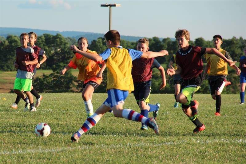 okis's tweet image. I don’t see a difference