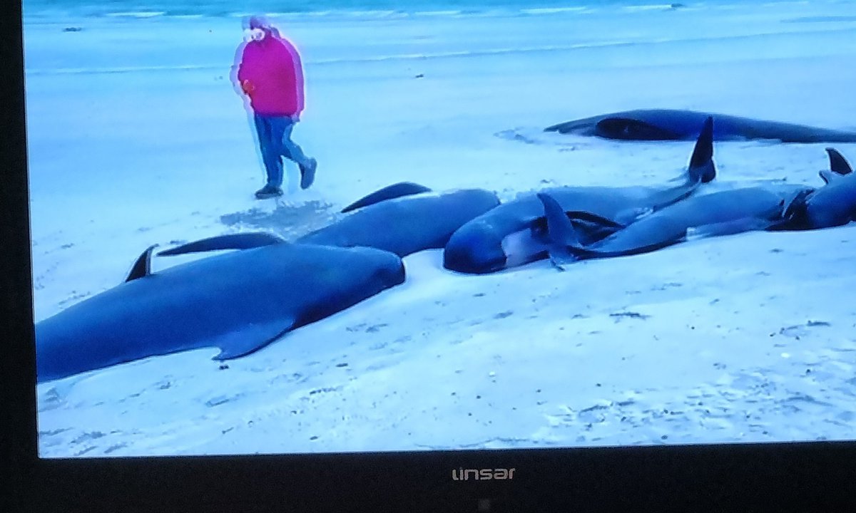 Lynda Jones tweet media